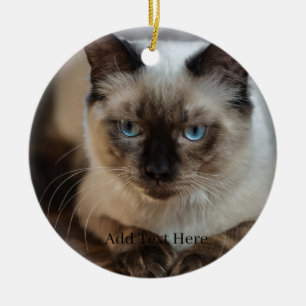 Custom Pet Photo and Name Ceramic Tree Decoration