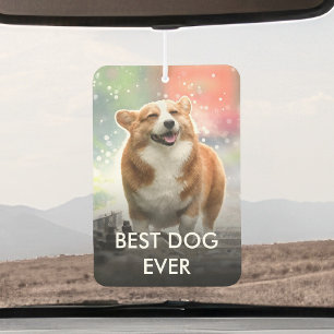 Custom Pet Photo And Name Personalised Dog Cat Car Air Freshener