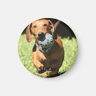 Custom Pet Photo and Text   Magnet
