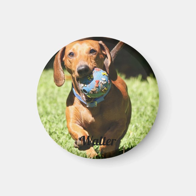 Custom Pet Photo and Text   Magnet (Front)