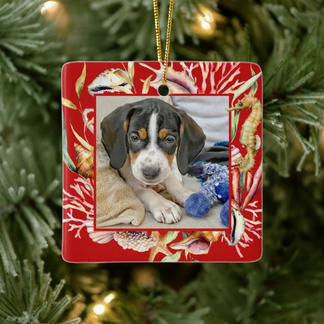 Custom Pet Photo Beach Christmas Ceramic Ornament (Tree)