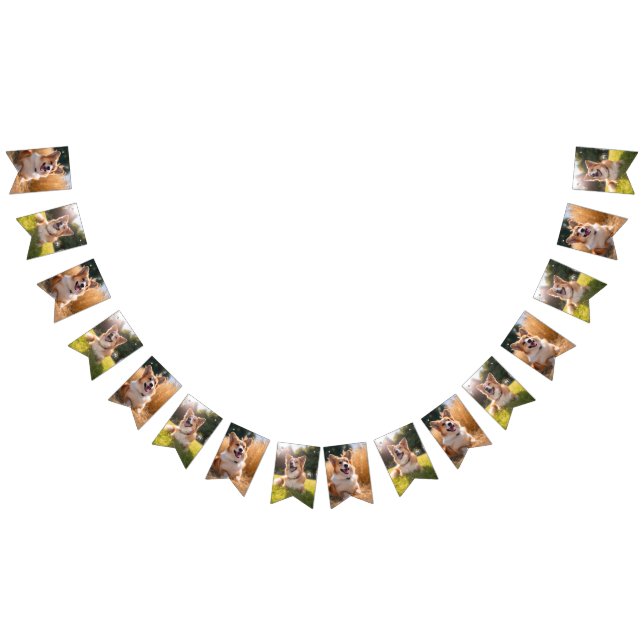 Custom Pet Photo Bunting (All)