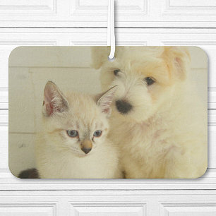 Custom Pet Photo Car Air Freshener