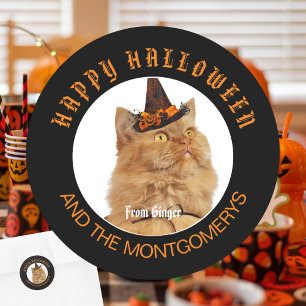 Custom Pet Photo Cat Lover Orange Black Halloween Classic Round Sticker