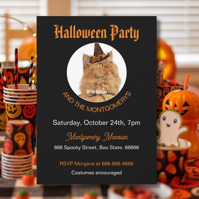 Custom Pet Photo Cat Lover Orange Black Halloween Invitation (Creator Uploaded)