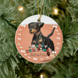 Custom Pet Photo Ceramic Tree Decoration