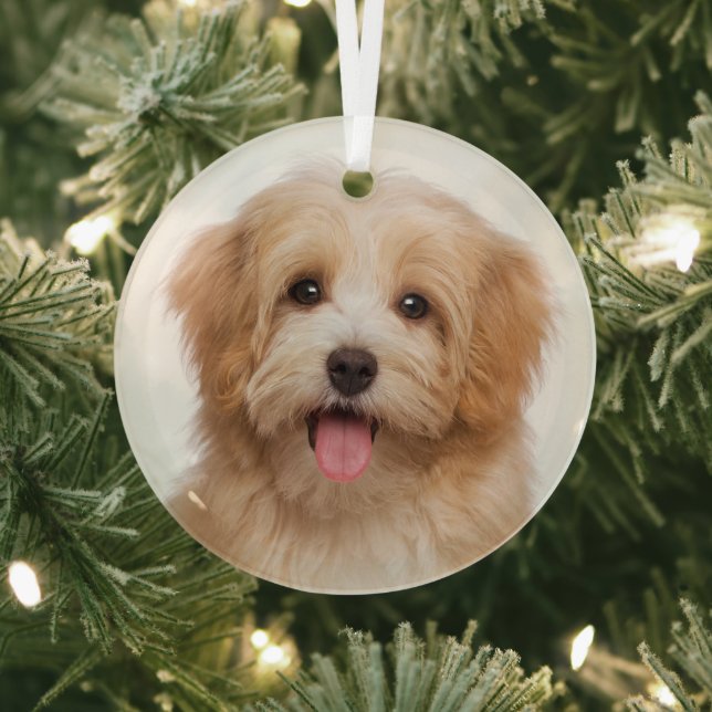 Custom Pet Photo Christmas Holiday Glass Tree Decoration (Insitu)