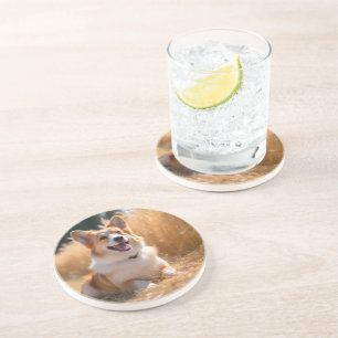 Custom Pet Photo Coaster