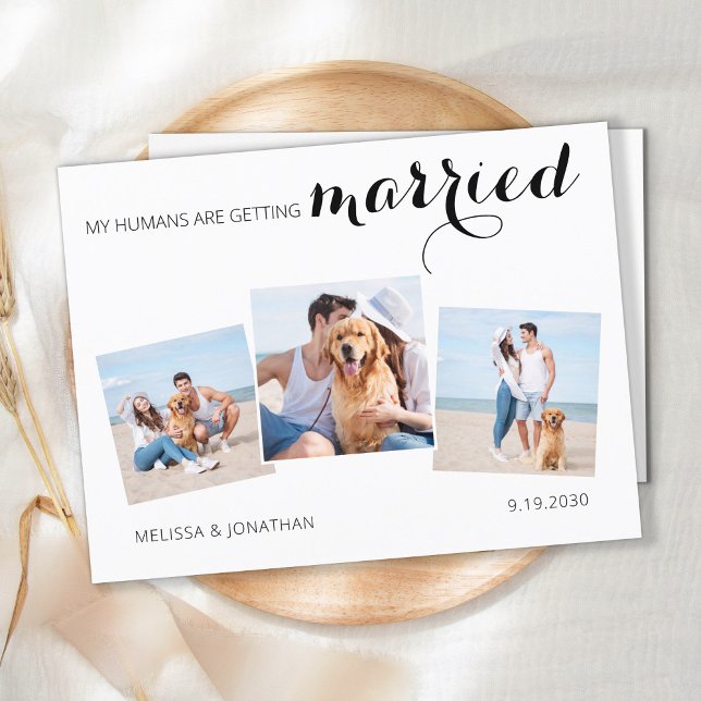 Custom Pet Photo Collage Dog Wedding Save The Date (Creator Uploaded)