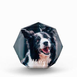 Custom Pet Photo   Create Your Own Photo Block