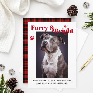 Custom Pet Photo Furry & Bright Red Buffalo Plaid Holiday Card
