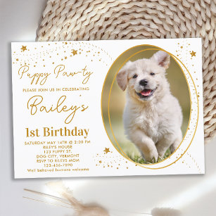 Custom Pet Photo Gold Stars Puppy Dog Birthday Invitation