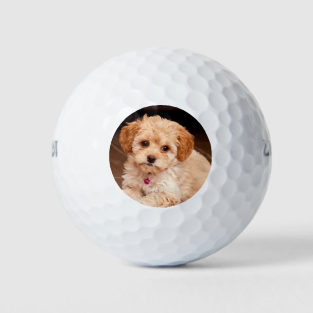 Custom pet photo golf balls (Front)