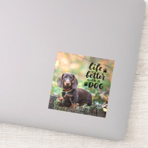 Custom Pet Photo Life is Better With A Dog