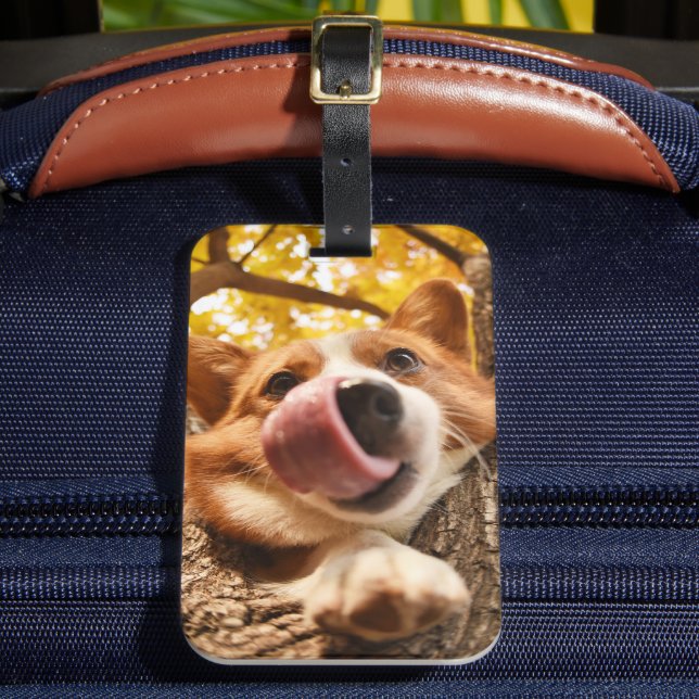 Custom Pet Photo Luggage Tag (Front Insitu 2)