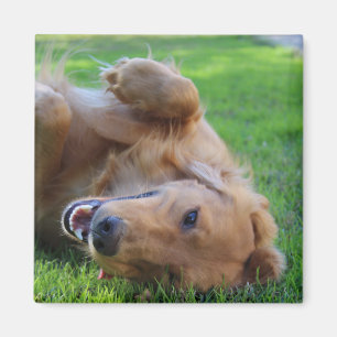 Custom Pet Photo Magnet