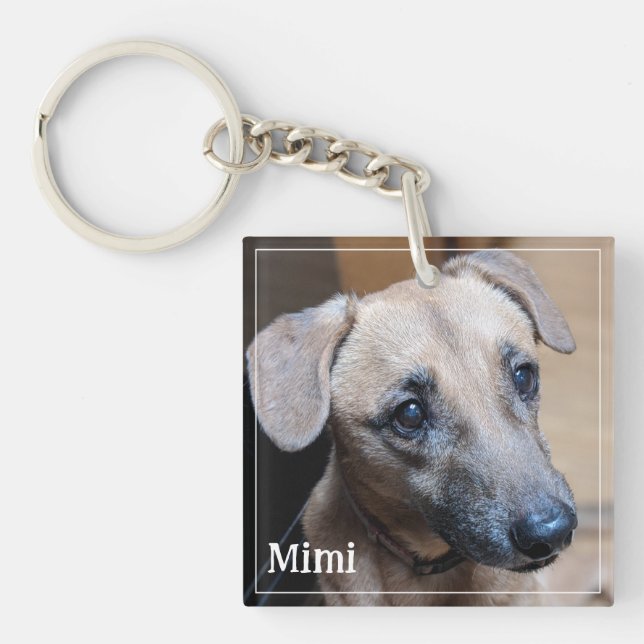 Custom Pet Photo Minimalist Modern Simple Keepsake Key Ring (Front)