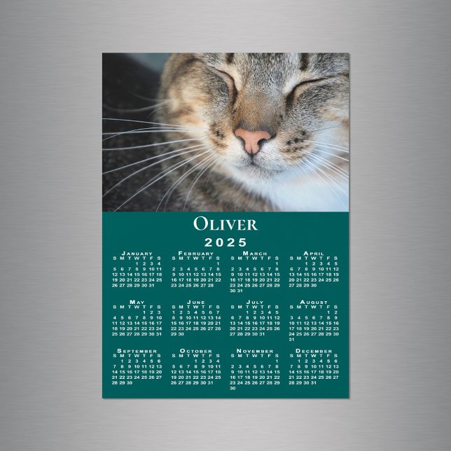 Custom Pet Photo Name 2025 Calendar Teal Magnet (Custom Pet Photo Name 2025 Calendar Teal Magnet in situ)