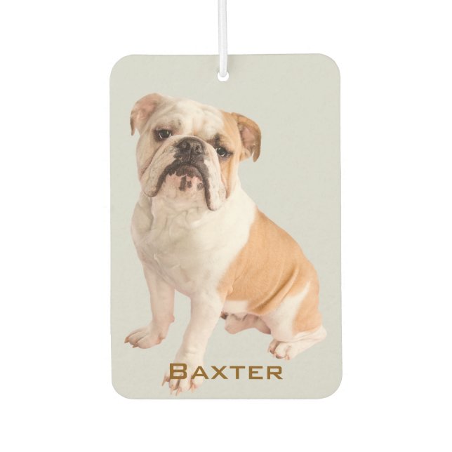 Custom Pet Photo Name Car Air Freshener (Front)