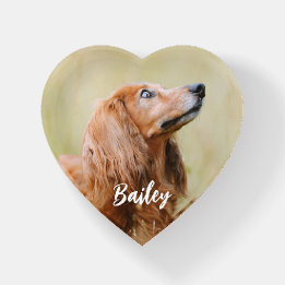 Custom Pet Photo Personalised Paperweight