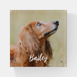 Custom Pet Photo Personalised Paperweight