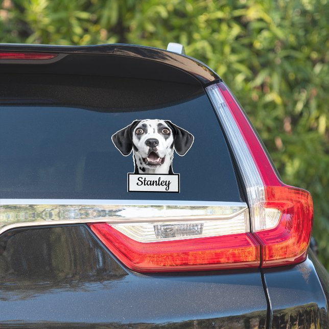 Custom Pet Photo | Personalized name (Car Side)