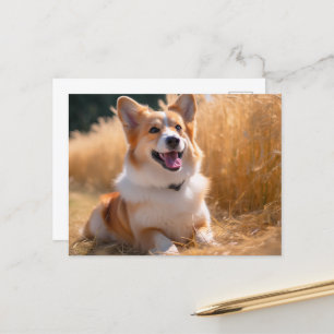 Custom Pet Photo Postcard