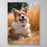 Custom Pet Photo