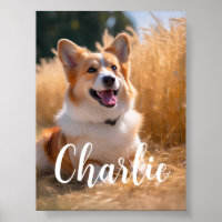Custom Pet Photo