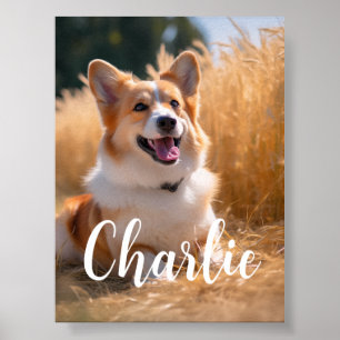 Custom Pet Photo Poster