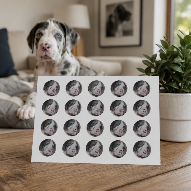 Custom Pet Photo Round Classic Round Sticker (Creator Uploaded)