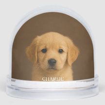 Custom pet photo Snow Globe