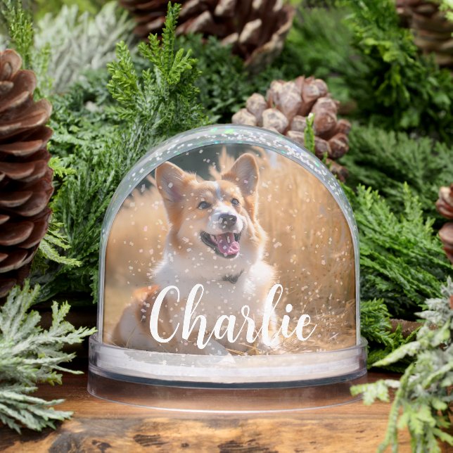 Custom Pet Photo Snowglobe (Winter)