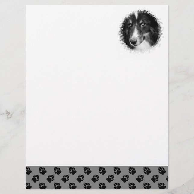 Custom Pet Photo Template With Black Paws On Grey Custom Letterhead (Front)