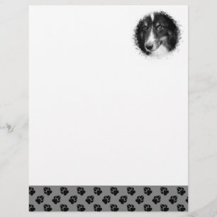 Custom Pet Photo Template With Black Paws On Grey Letterhead