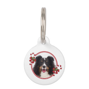 Custom Pet Photo With Festive Candy Canes Pet Tag