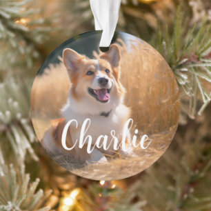 Custom Pet Photo with Name Ornament