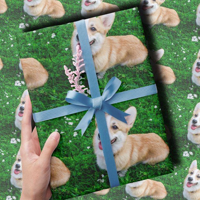 Custom Pet Photo Wrapping Paper (Creator Uploaded)