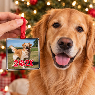 Custom Pet Photo & Year Christmas Ornament