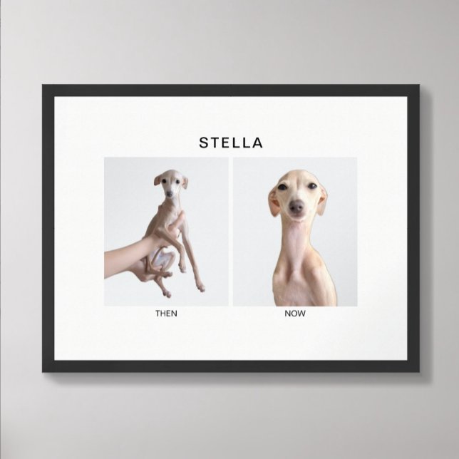 Custom Pet Portrait | Then and Now Poster (Creator Uploaded)