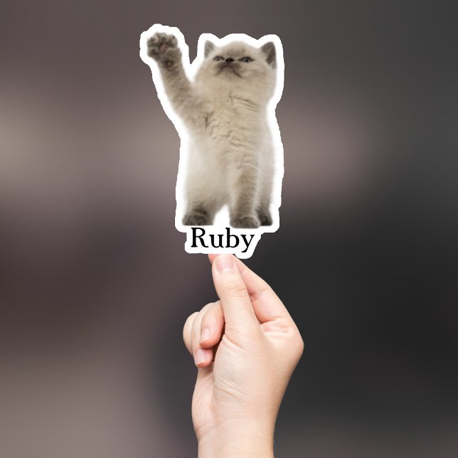 Custom Pet Sticker, Custom Dog Sticker, Custom Cat (Creator Uploaded)