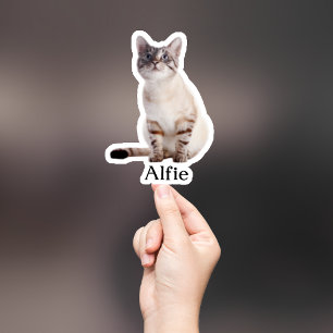 Custom Pet Sticker, Custom Dog Sticker, Custom Cat