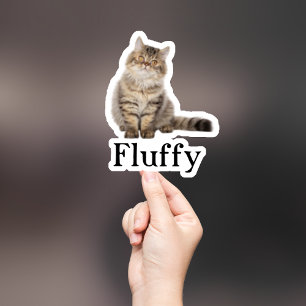 Custom Pet Sticker, Custom Dog Sticker, Custom Cat