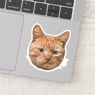 Custom Pet Stickers Dog Cat Photo Decal