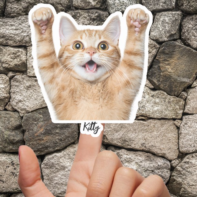 Custom Pet Stickers – Dog & Cat Photo Vinyl Decals (Custom Pet Stickers – Dog & Cat Photo Vinyl Decals)