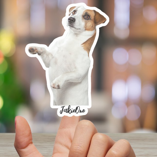 Custom Pet Stickers – Dog & Cat Photo Vinyl Decals (Custom Pet Stickers – Dog & Cat Photo Vinyl Decals)