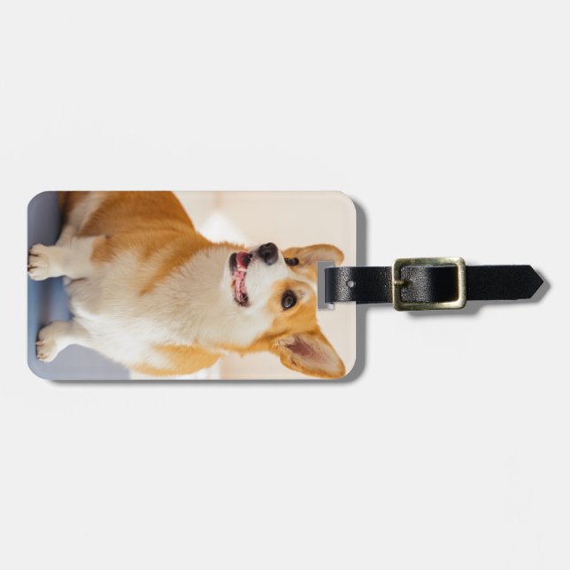Custom Photo and Personalised pet Luggage Tag (Front Horizontal)