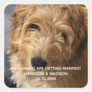 Custom photo and text engagement announcement square sticker