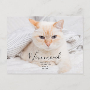 Custom Photo Announcement Postcard