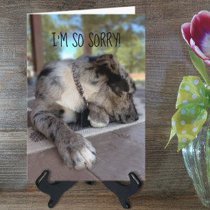 Custom Photo Brindle Cattle Dog Belated Template